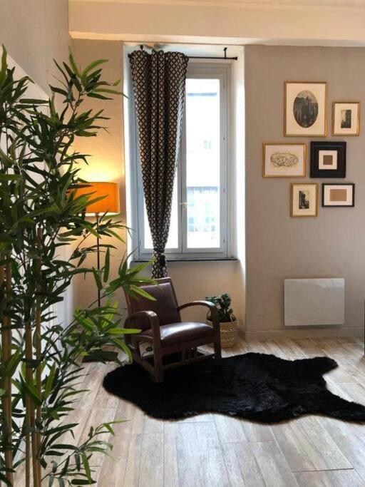 Studio Au Pied De La Cite Carcassonne Buitenkant foto